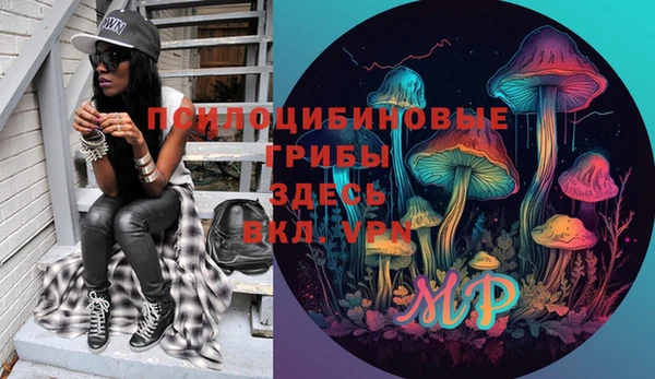 мяу мяу мука Бугульма