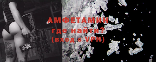 дмт Богданович