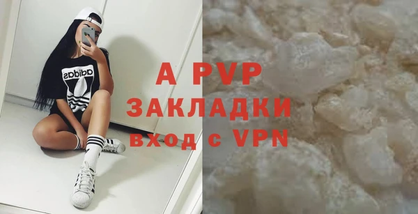 дмт Богданович