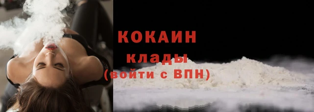 эйфоретик Бородино