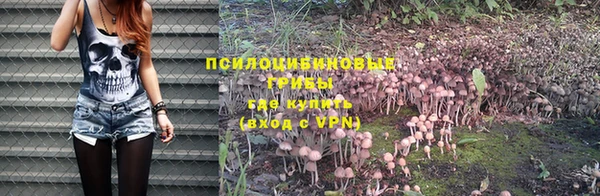 MDMA Premium VHQ Богородск