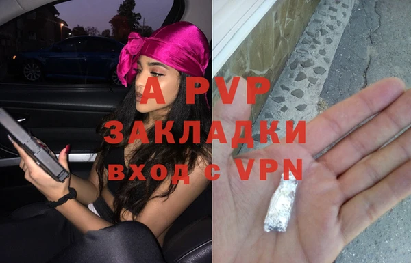 дмт Богданович