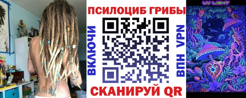 Галлюциногенные грибы Cubensis  как найти   Гулькевичи 
